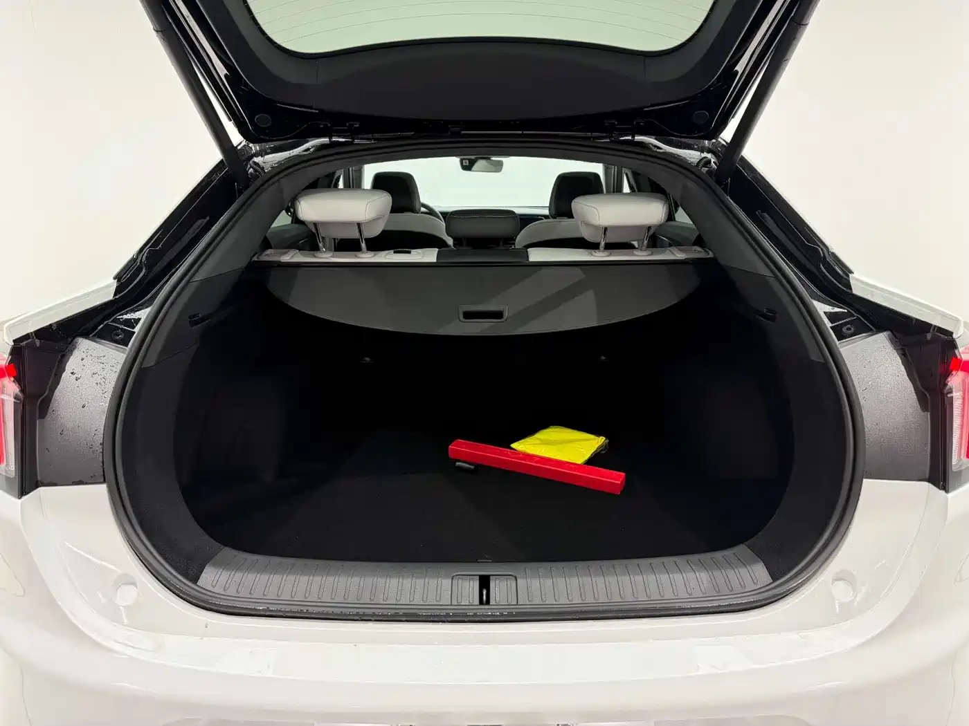 ARCFOX EXTREME FOX POLAR FOX ALPHA S6