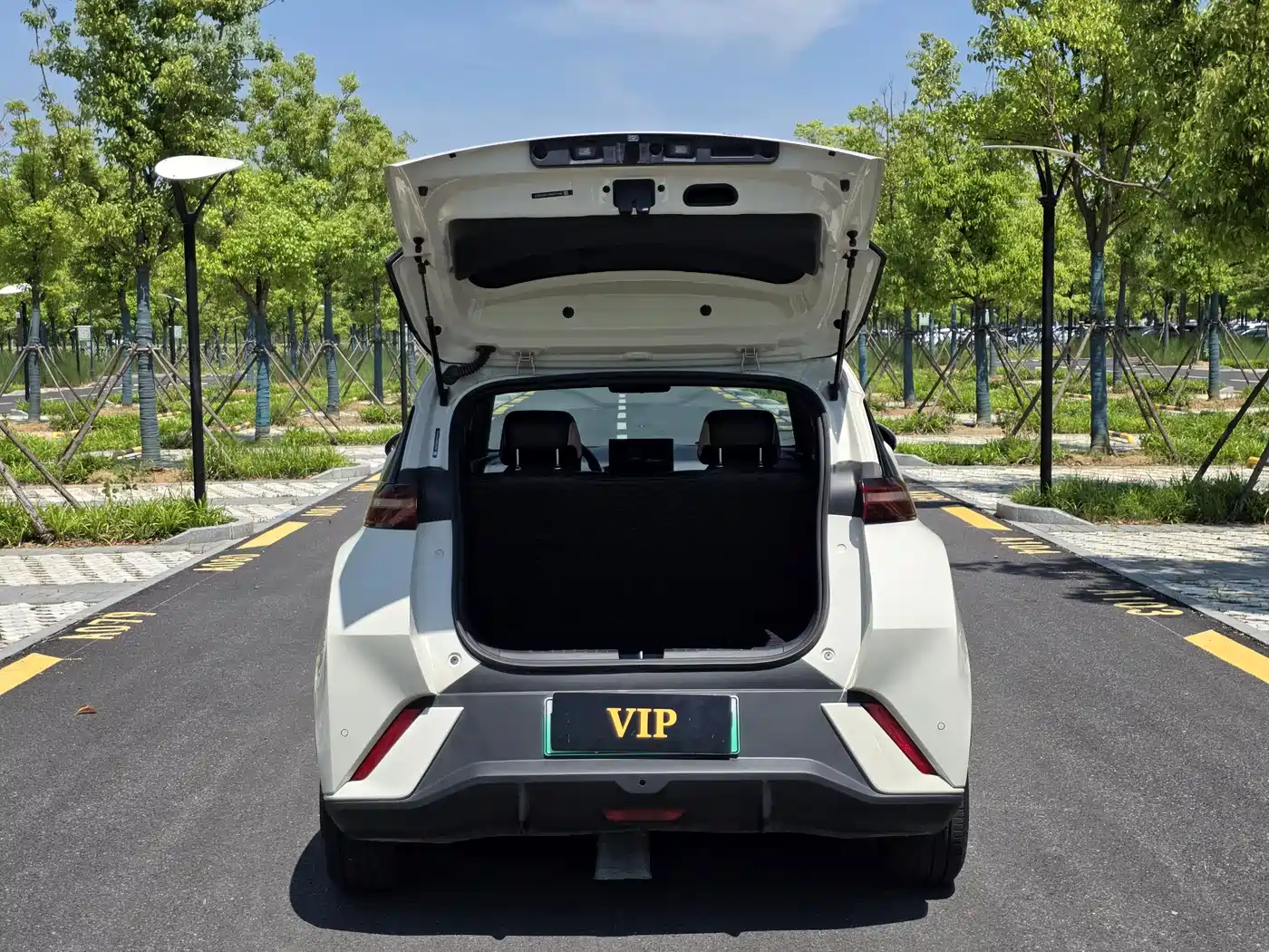 BYD Seagull 2023 Vitality Edition фото 24