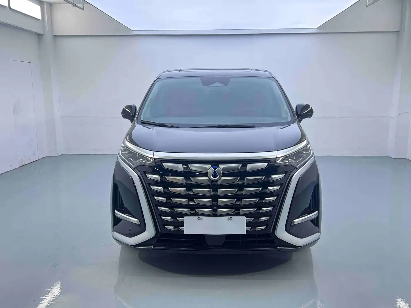 Denza D9 2022 DM-i 970 AWD Flagship фото 2