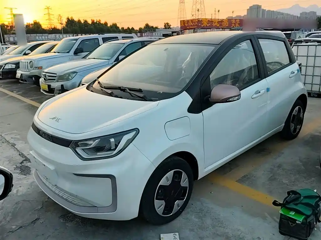 JAC Yiwei Yttrium Flower Fairy 2024 Beloved Edition 301km Lite