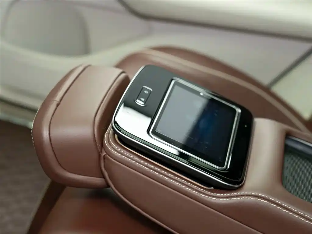 Mercedes-Benz Maybach GLS 2021 GLS 480 4MATIC фото 11
