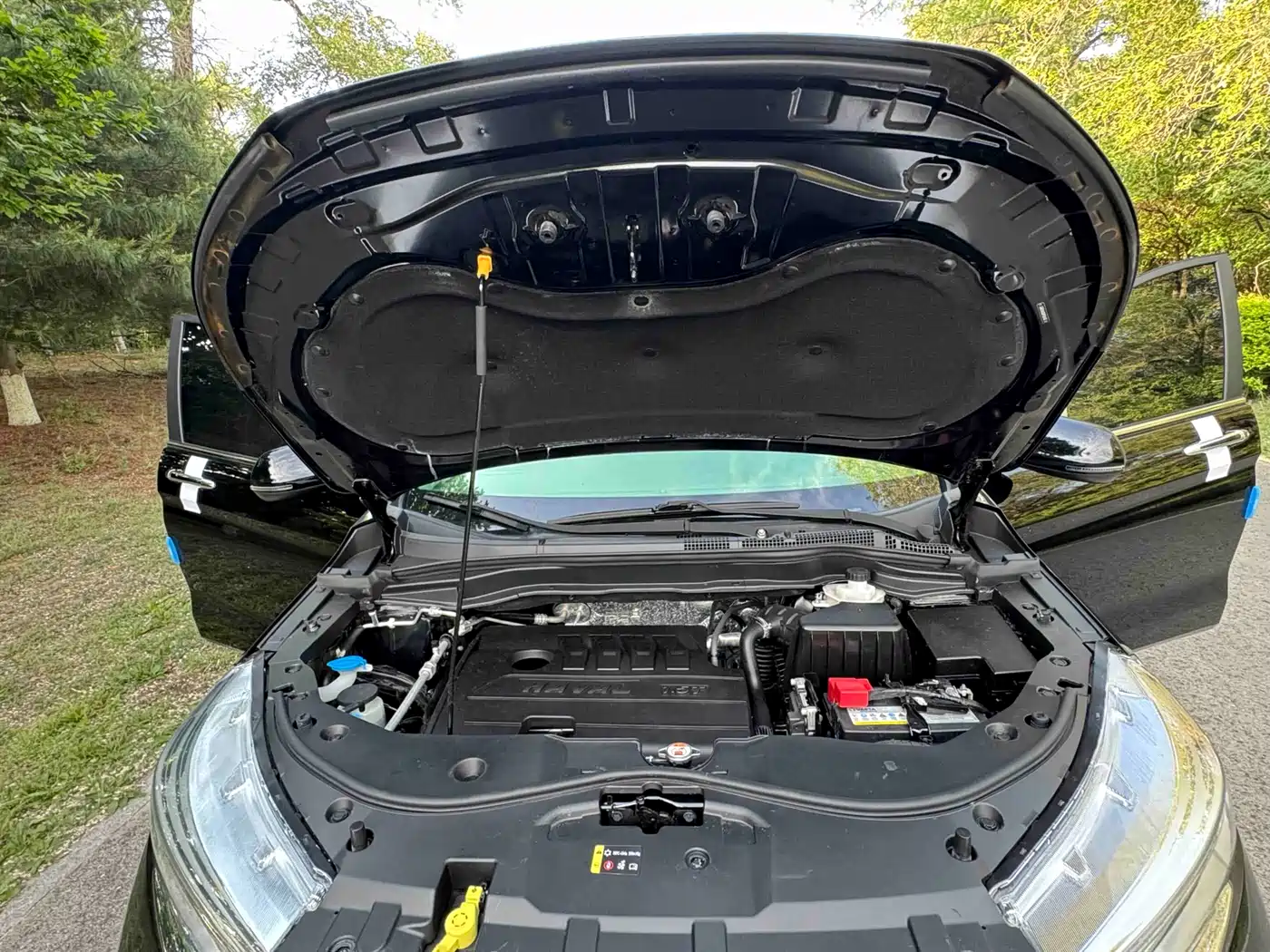 HAVAL M6