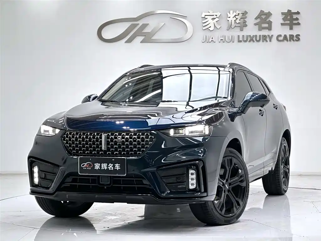 WEI PAI WEI BRAND VV7