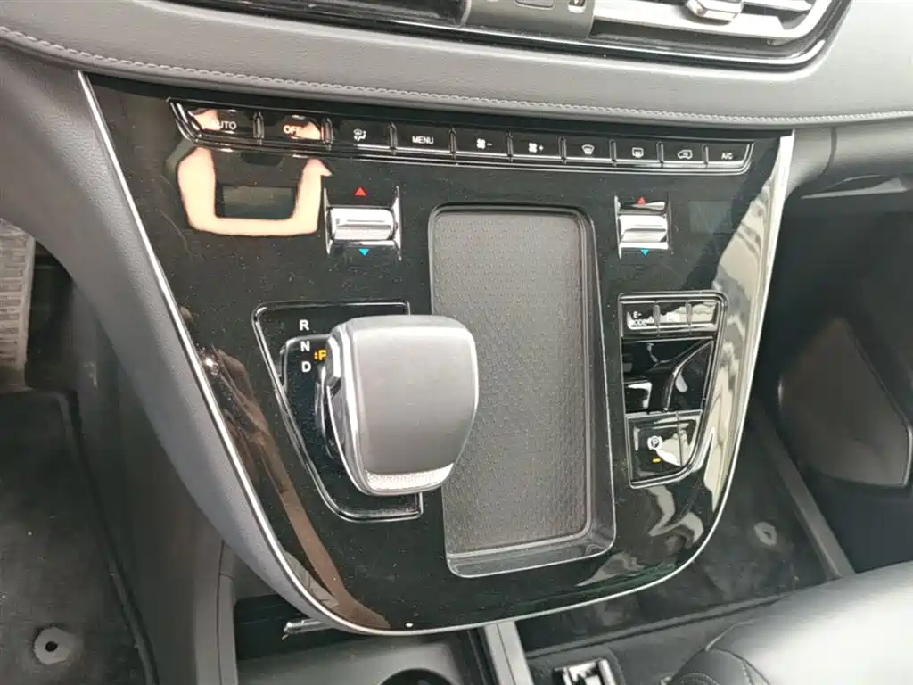 Hongqi HQ9 PHEV 2024 Model 2.0T AWD Business Edition фото 14