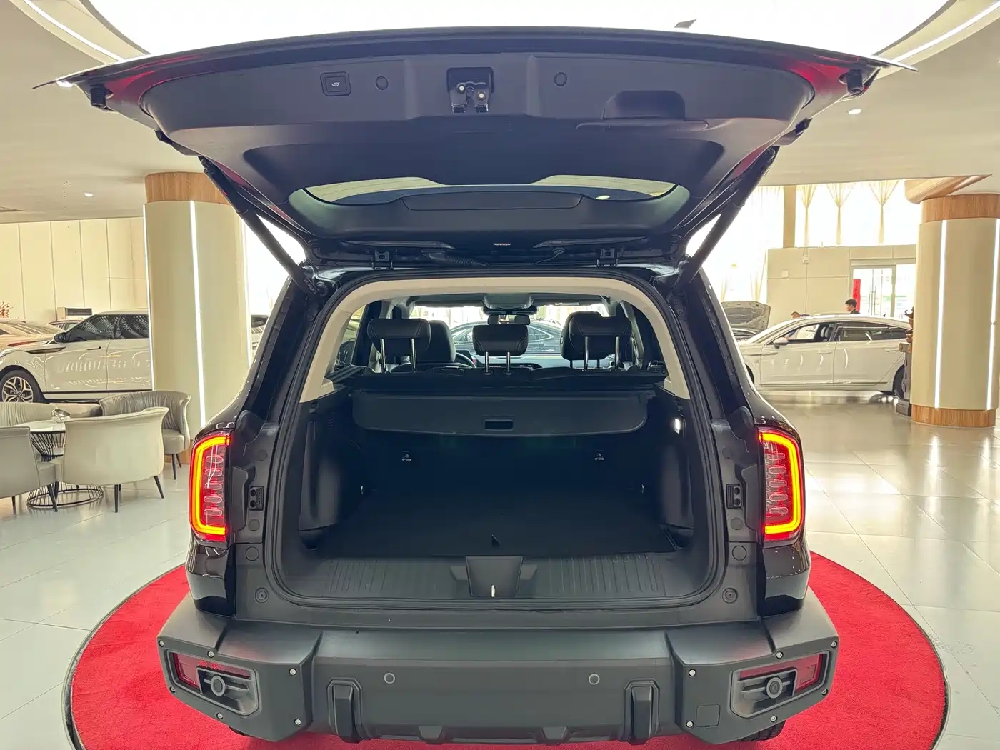 Haval Big Dog 2022 Model 2.0T DCT AWD Howling Celestial Dog Hunting Edition фото 10
