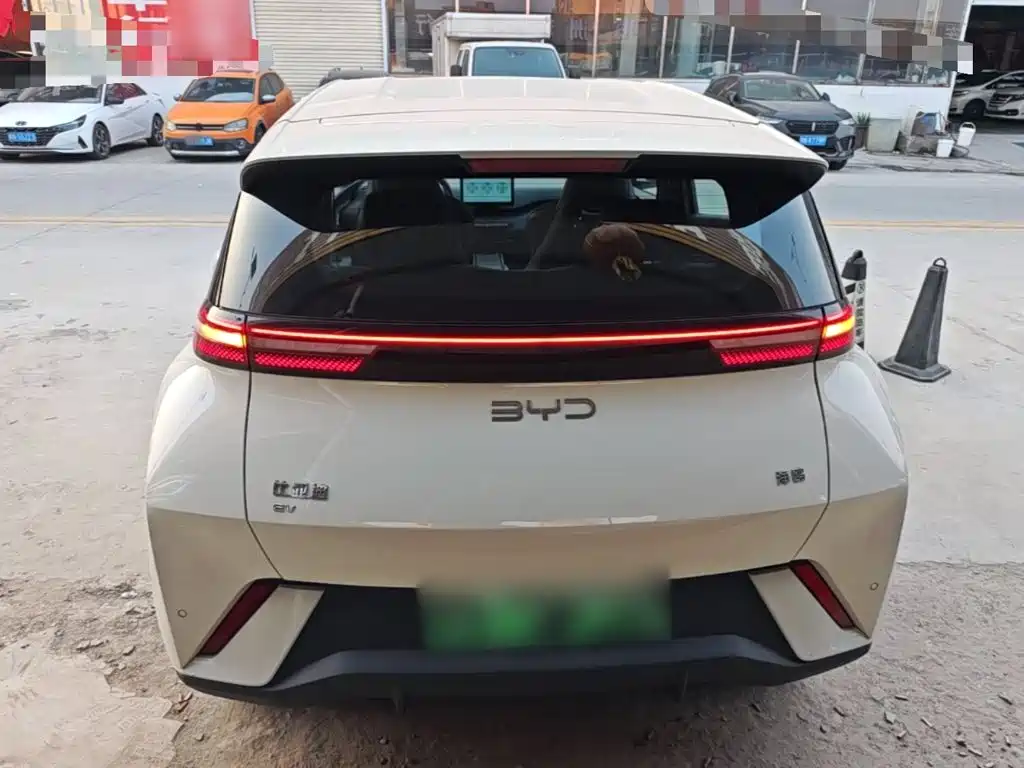 Фото 6 - BYD Seagull