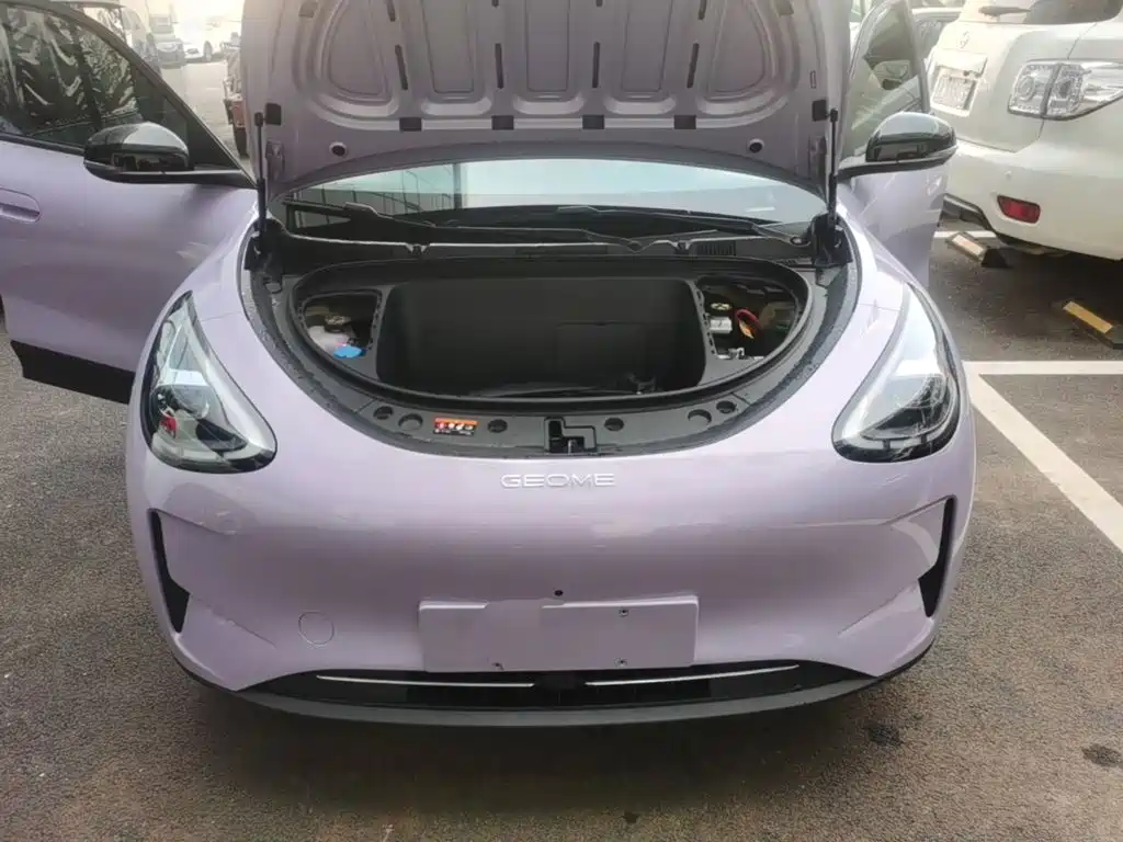 Geely Galaxy Starry Wish 2026 2026 Edition 410km Freedom Version