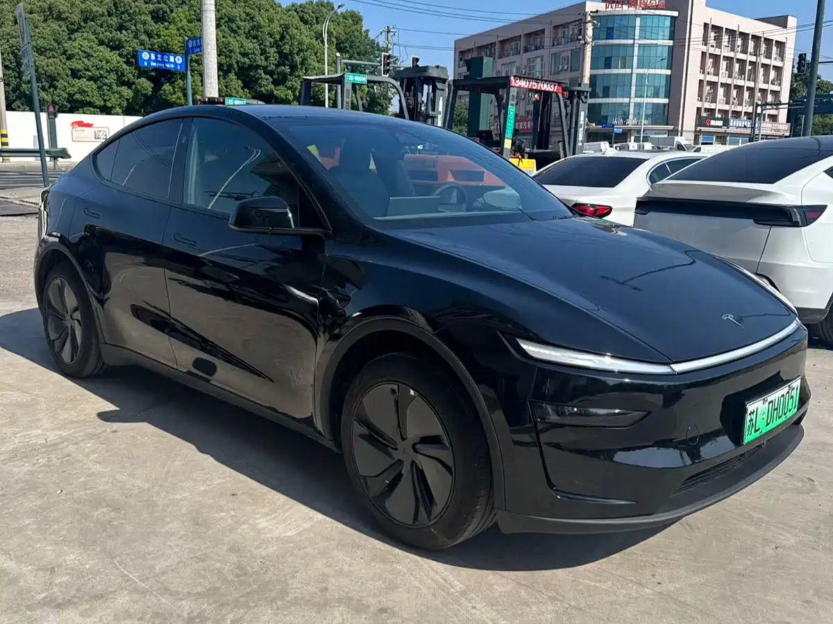 Tesla Model Y 2026 Rear-Wheel Drive фото 3