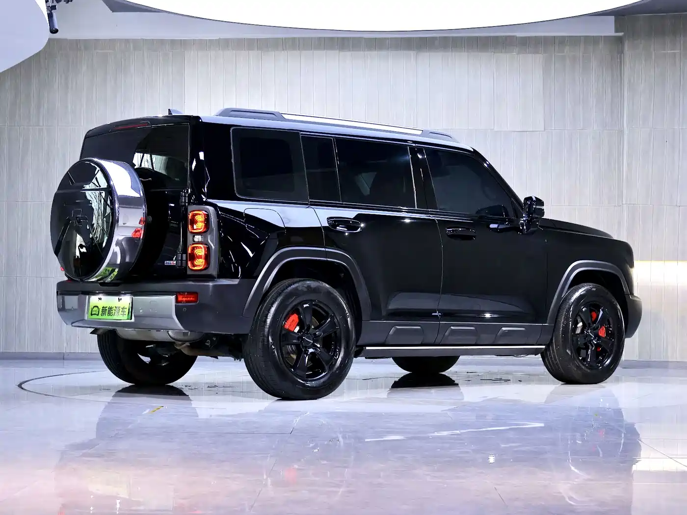 HAVAL RAPTORS NEW ENERGY