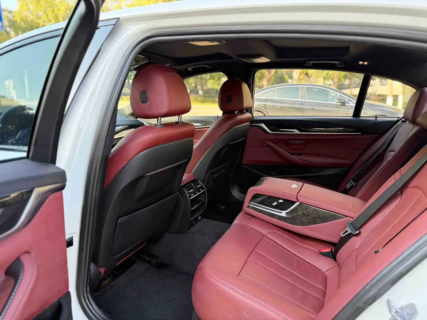 BMW 5 Series 2019 530Li Leading M Sport Package фото 10