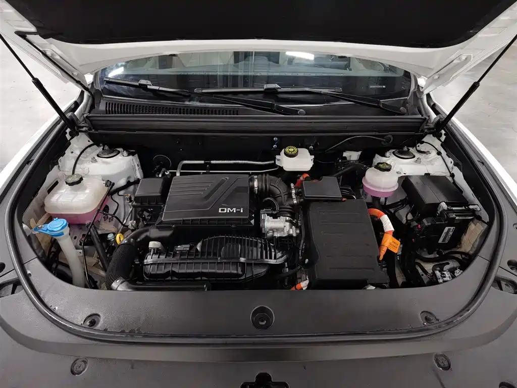 BYD SONGJIANG NEW ENERGY