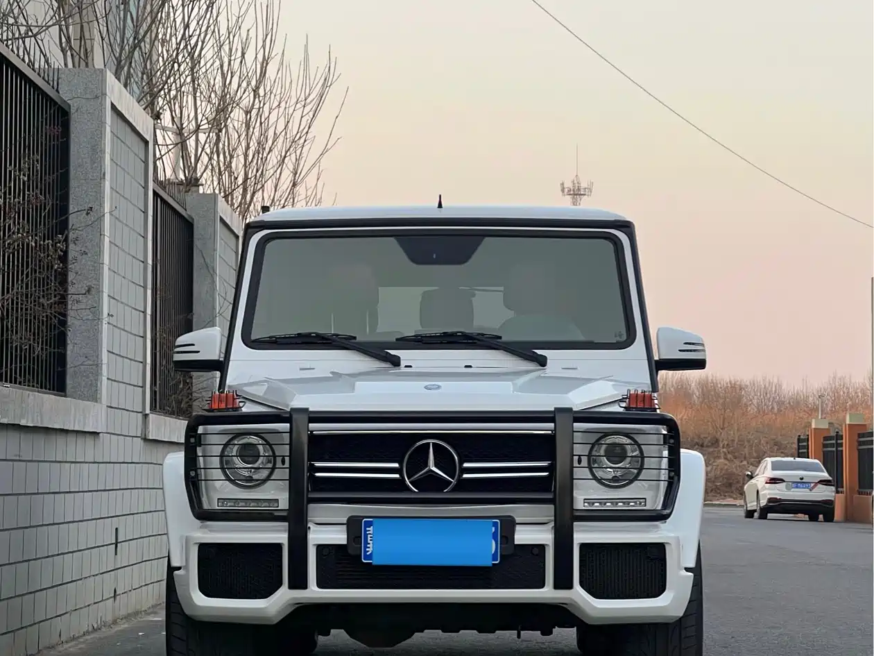 Mercedes-Benz G-Class AMG 2013 AMG G 63 фото 2