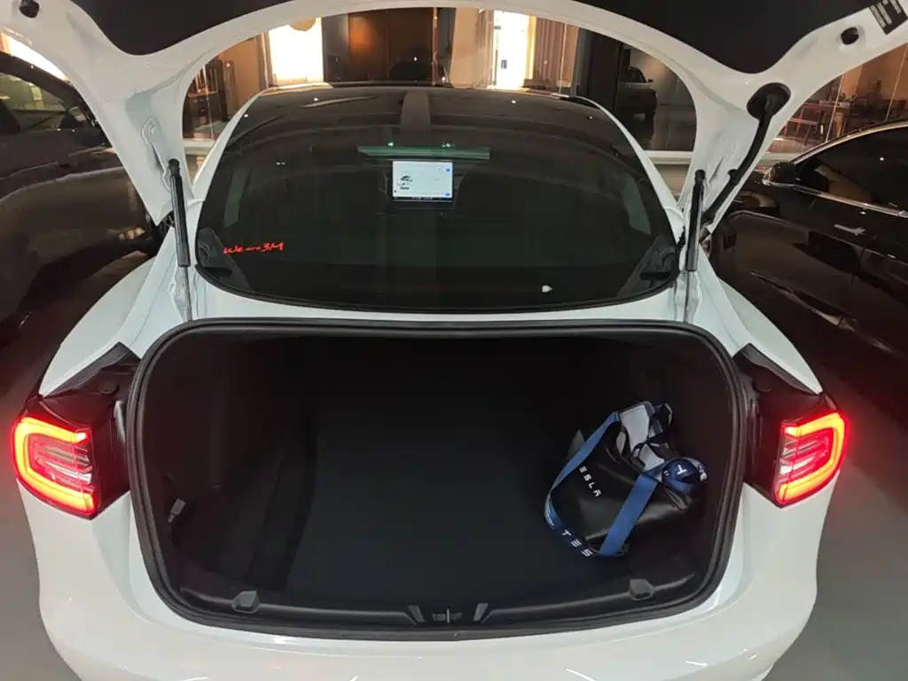 Tesla Model 3 2020 2020 Facelift Standard Range RWD Upgrade