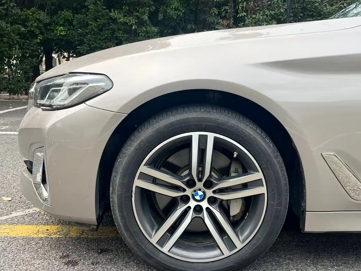 BMW 5 Series 2021 530Li Leading Luxury Package фото 11