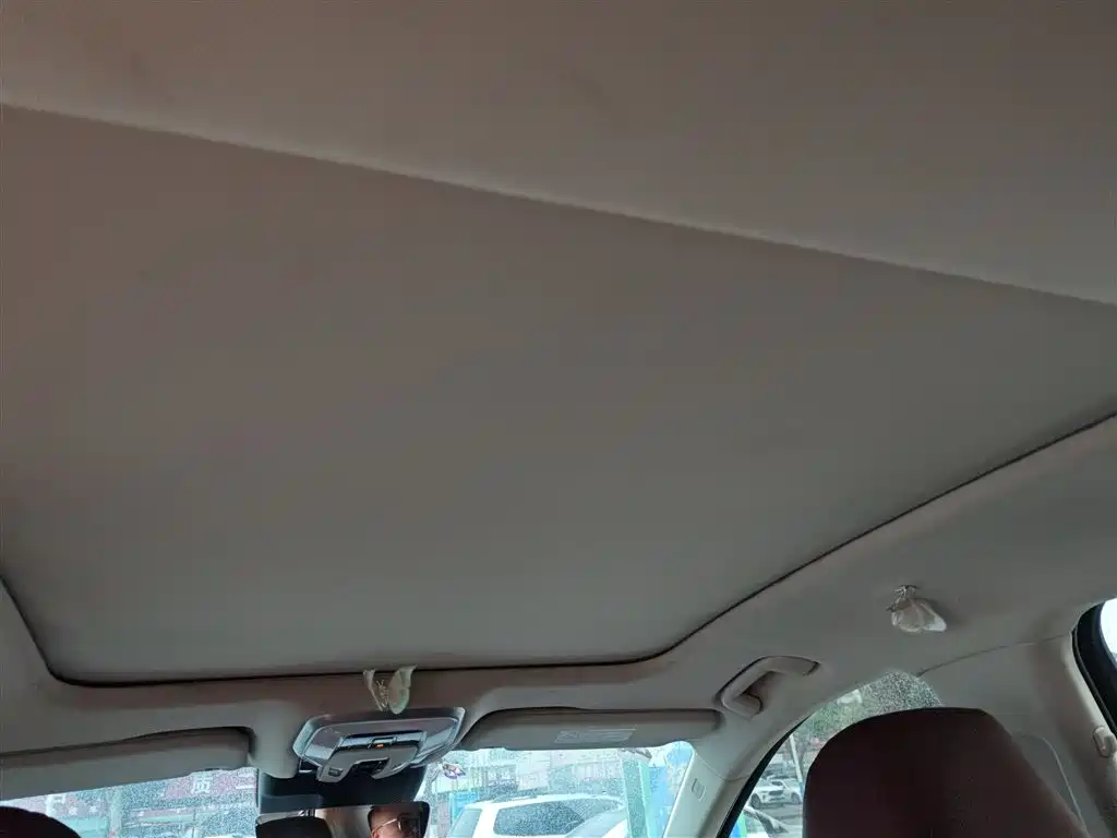Hongqi H5 2023 2.0T Auto Smart Connect Flag Enjoy фото 14