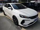 Фото 4 - Geely Binrui