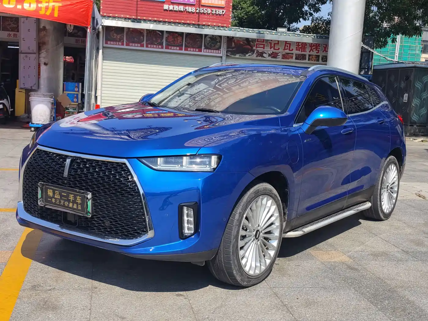 2018 WEY P8