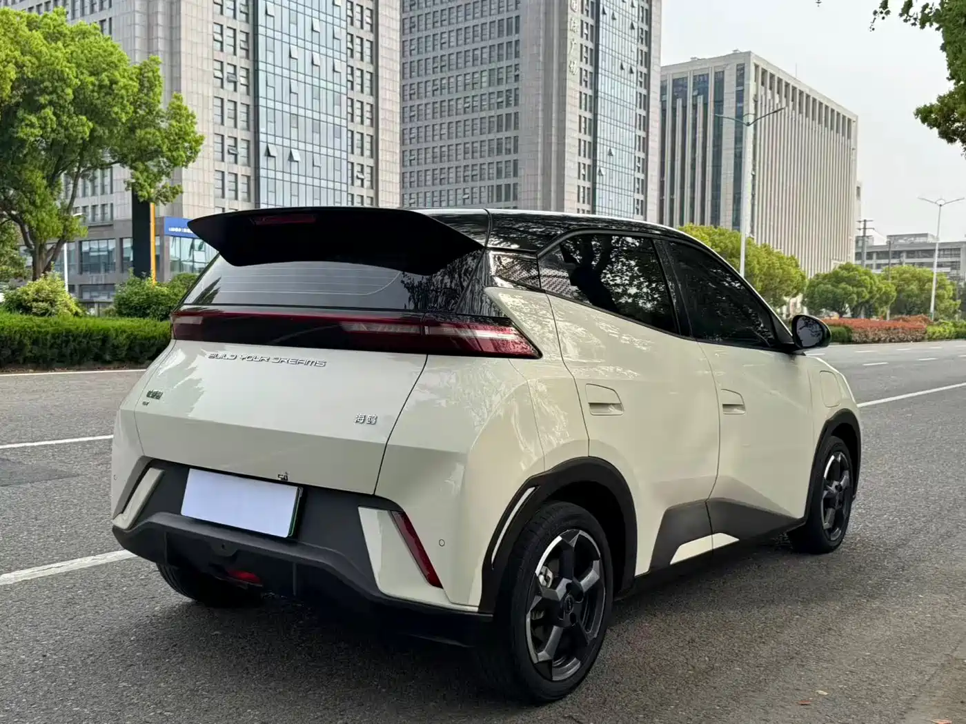 BYD Seagull 2024 Glory Edition 305km Freedom Edition фото 6