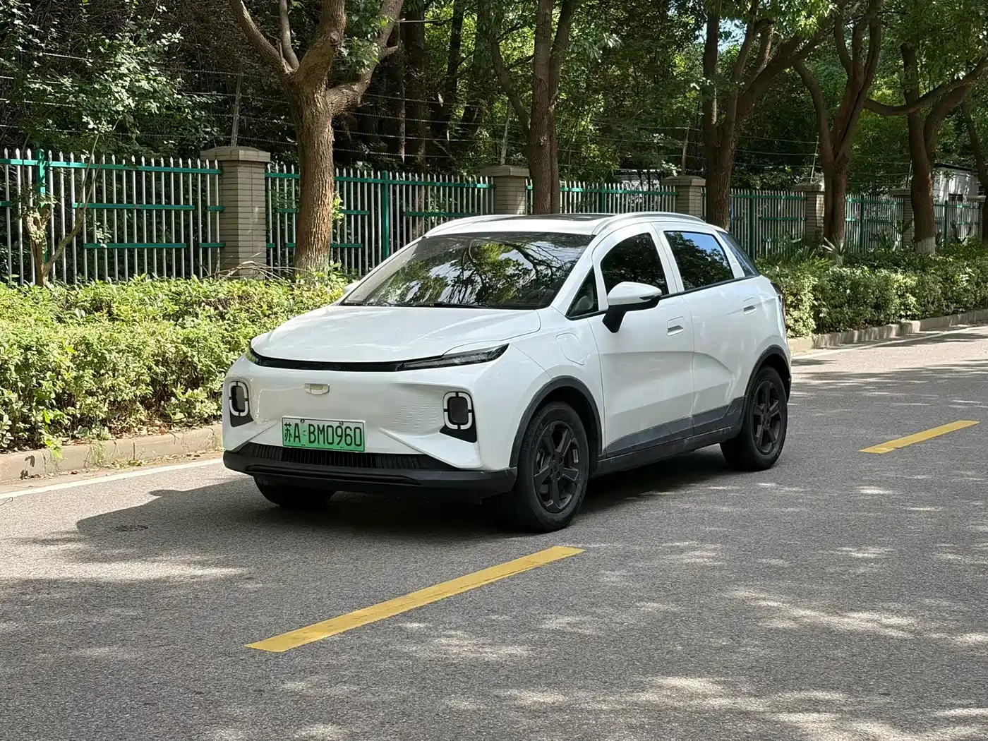 Geely Geometry E Firefly 2024 2024 401km Starlight