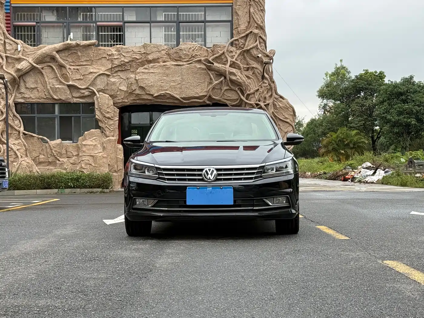 Volkswagen Passat 2017 330TSI DSG Luxury фото 2