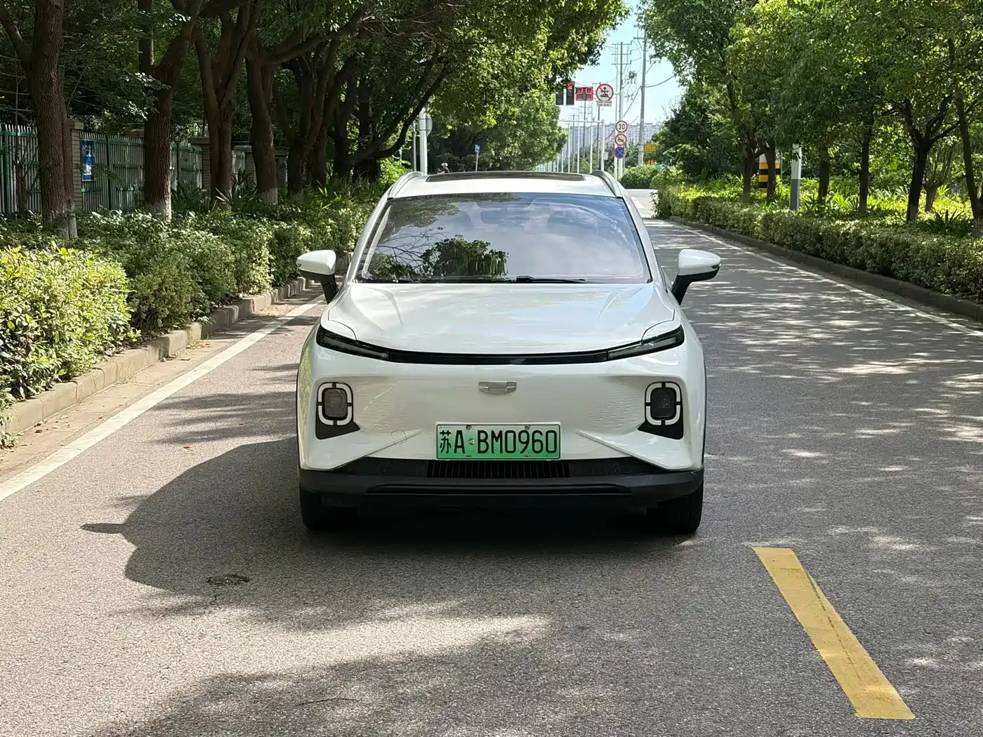 Geely Geometry E Firefly 2024 2024 401km Starlight