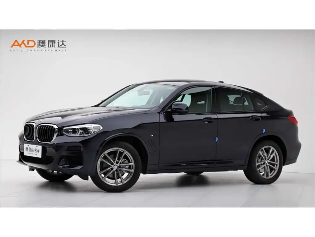 BMW X4 2021 xDrive 25i M Sport Package