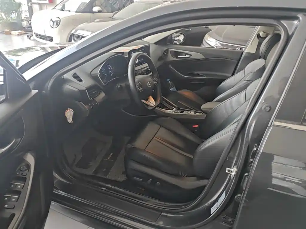 Photo 15 - Hyundai Lafesta