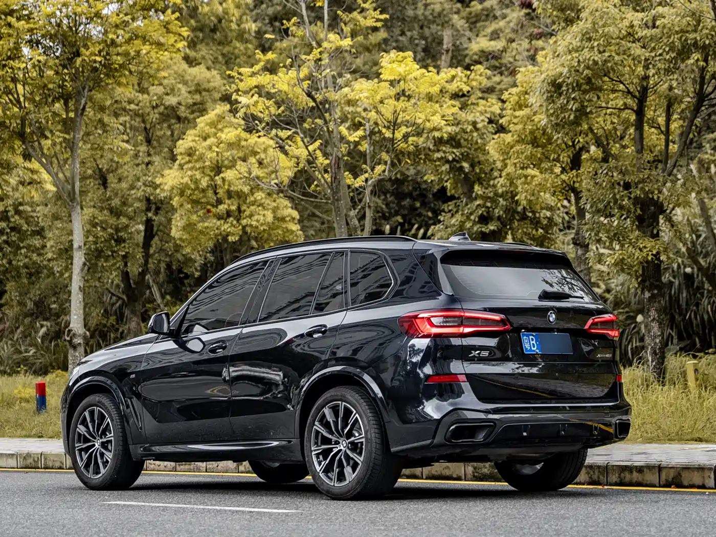 BMW X5 (Import) 2019 xDrive40i M Sport Package фото 3