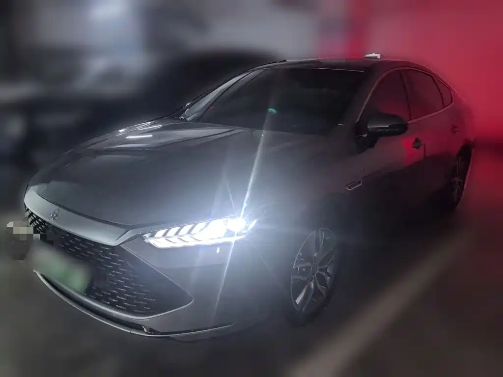  BYD Qin PLUS 2021 DM-i 55KM Flagship
