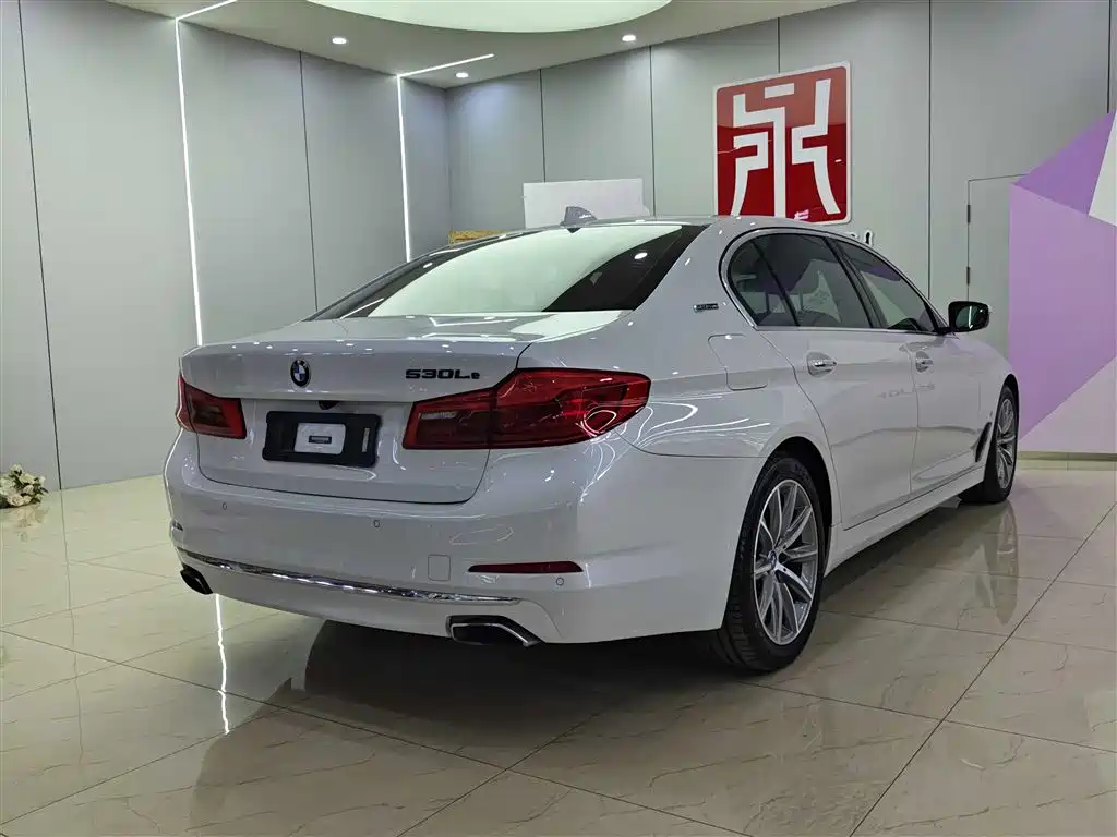 BMW 5 SERIES NEW ENERGY