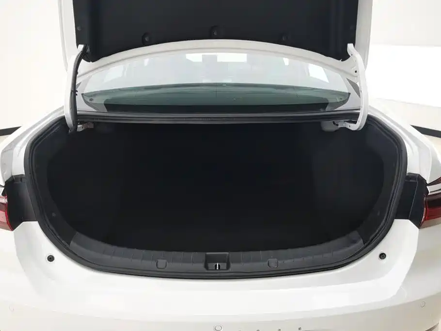 BYD Qin New Energy 2020 2019 Long Range Edition Premium