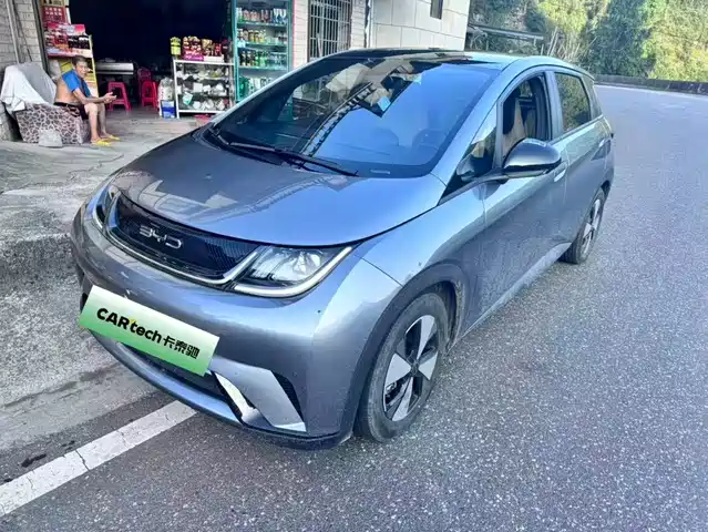 BYD Dolphin 2024