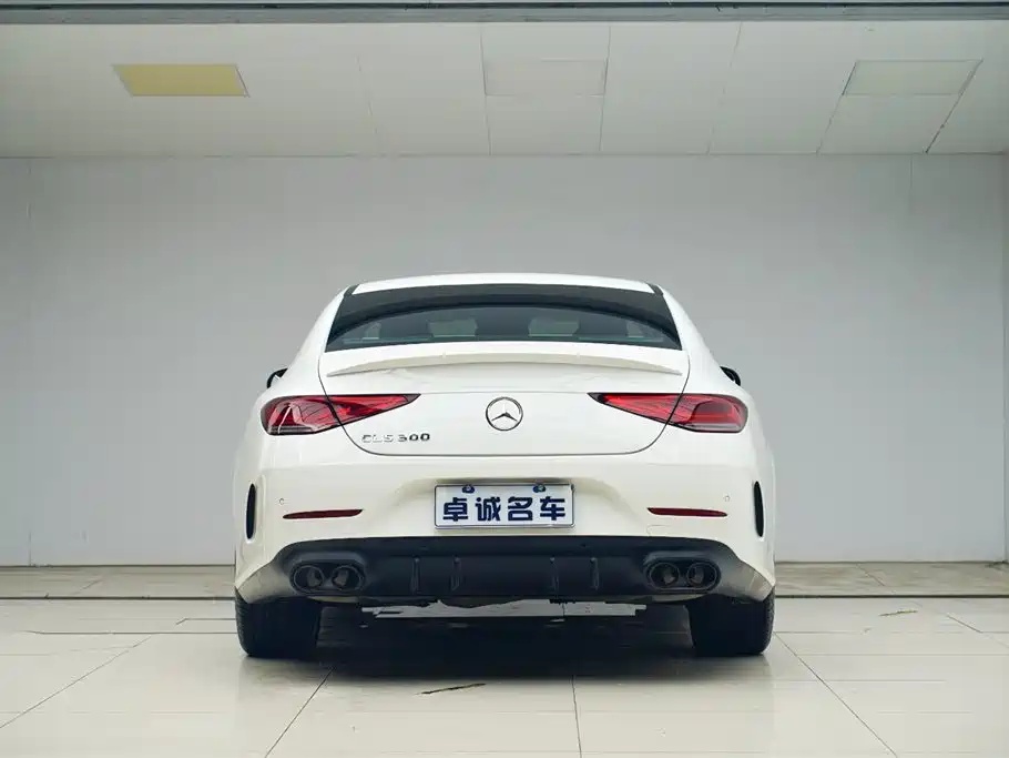 Mercedes-Benz CLS 2020 CLS 300 Luxury фото 15