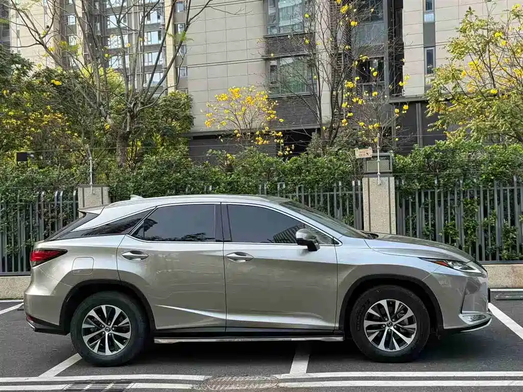 Lexus RX 2020 300 2WD Comfort Edition China V фото 4