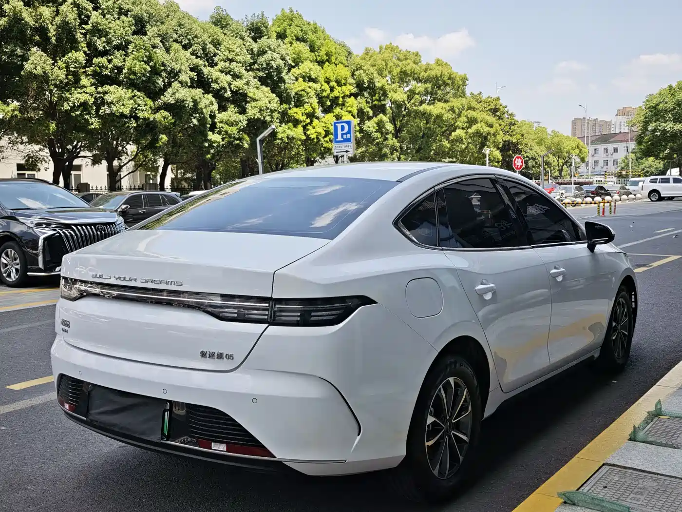 BYD Destroyer 05 2023 Champion Edition DM-i 55KM Luxury фото 9