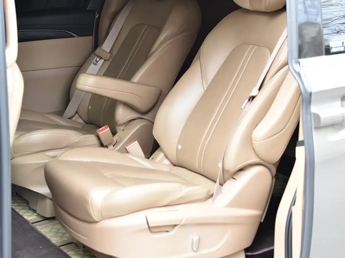 Buick GL8 2021 ES Landlord 653T Premium фото 18