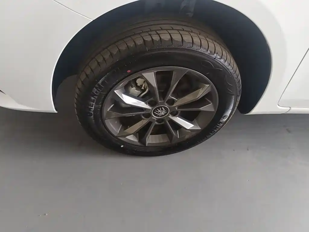 Фото 23 - BYD Qin New Energy