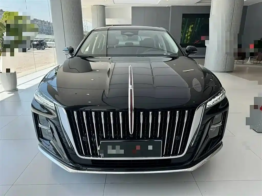 Hongqi H5 2023 2.0T Auto Smart Connect Flag Enjoy фото 2