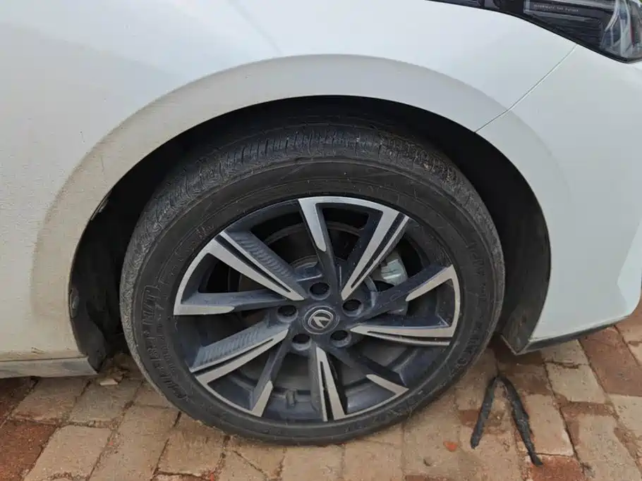 Photo 6 - Changan Eado