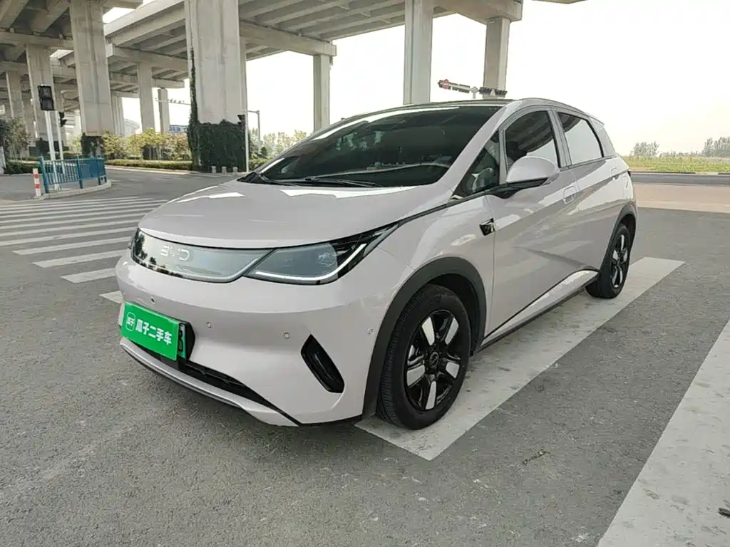 Фото 2 - BYD Dolphin