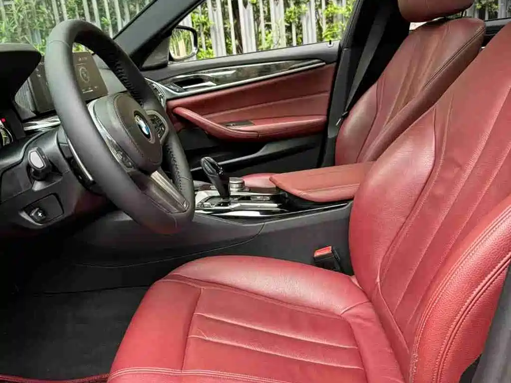 BMW 5 Series 2018 530Li Leading M Sport Package фото 9