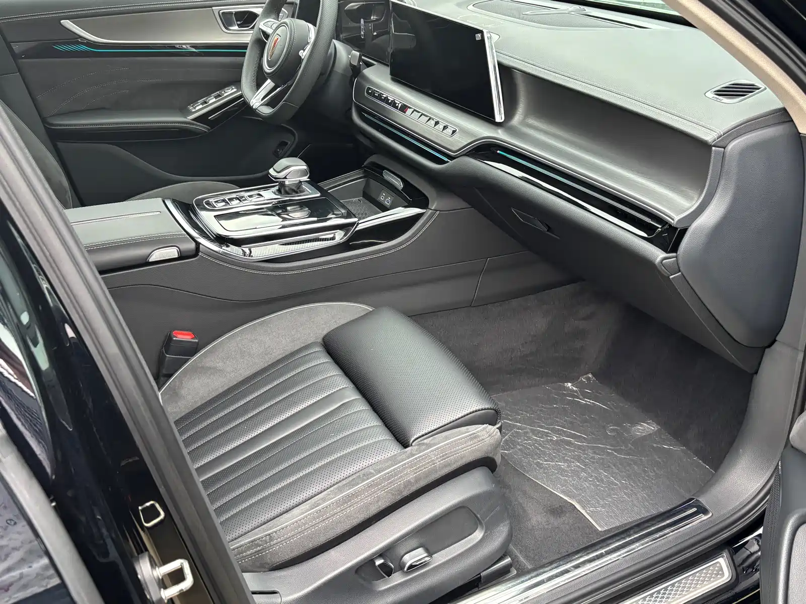 Photo 10 - Hongqi H9