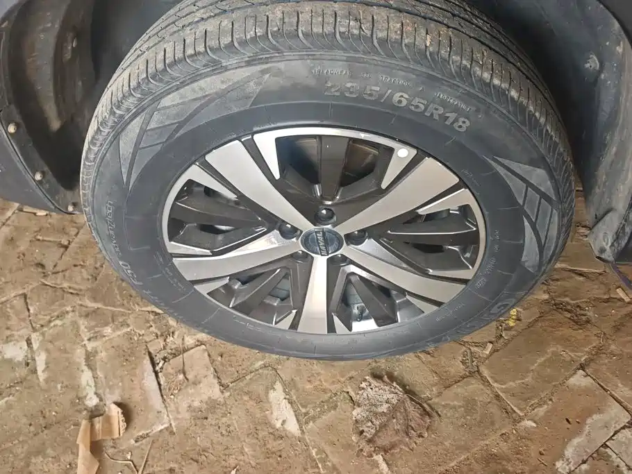 Фото 6 - Haval Dargo