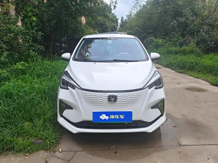 Changan Benben E-Star 2021 2022 Appreciation Edition Colorful LFP