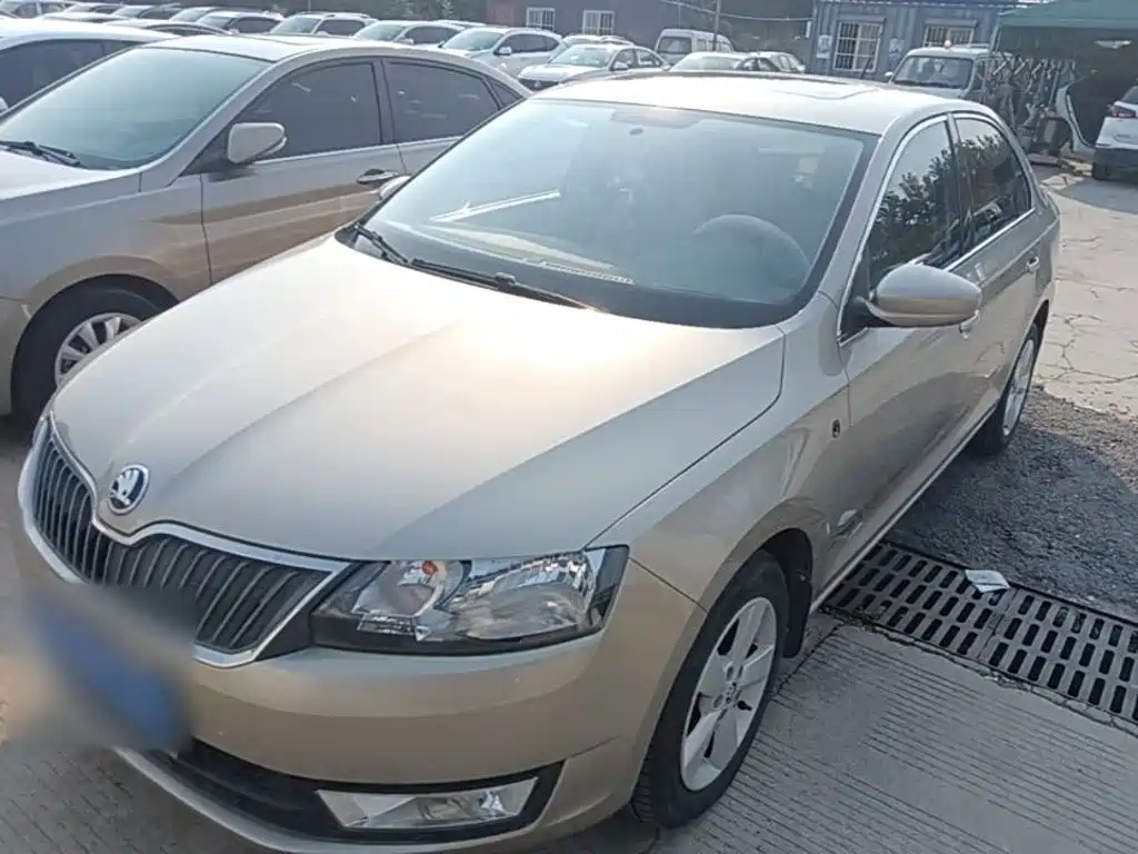 Škoda Rapid 2015 — пригон из Китая