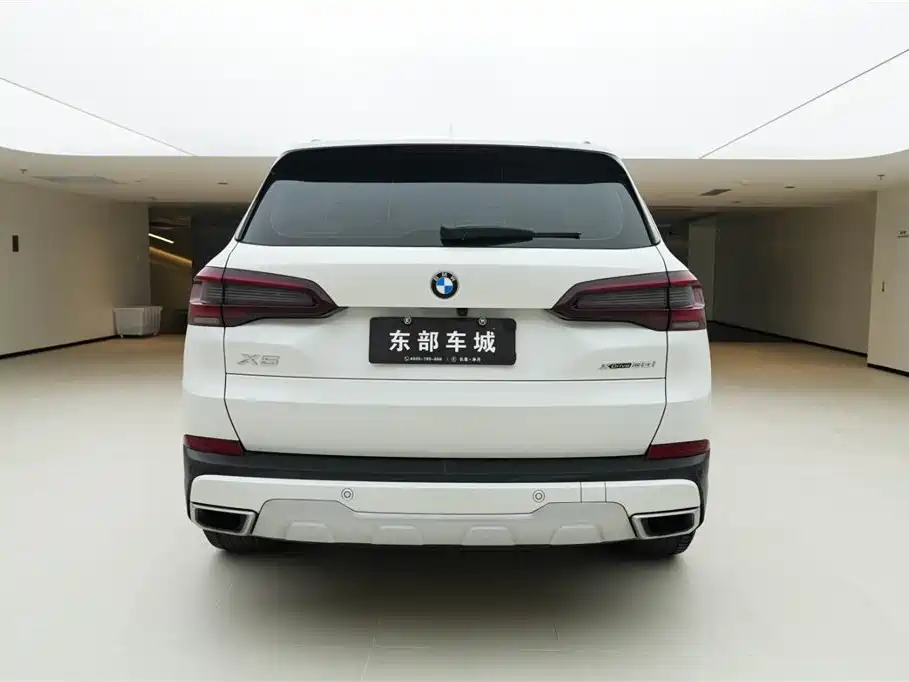 BMW X5 (Import) 2020 xDrive30i X Design Package фото 7