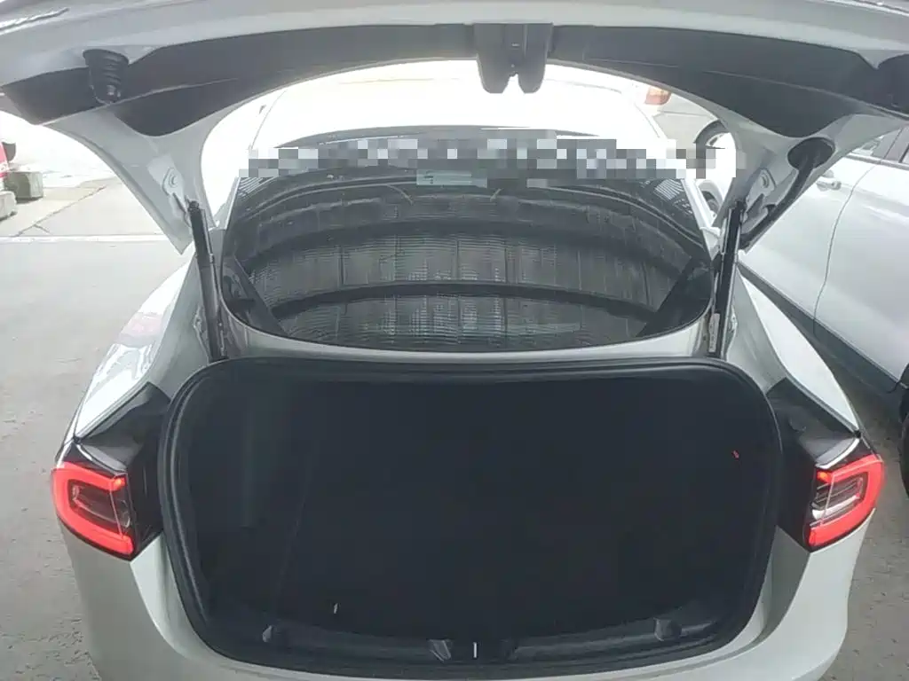 Tesla Model 3 2020 2019 Standard Range Rear-Wheel Drive Upgrade