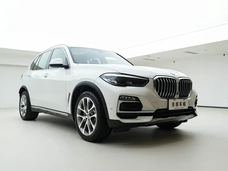 BMW X5 (Import) 2020 xDrive30i X Design Package фото 3