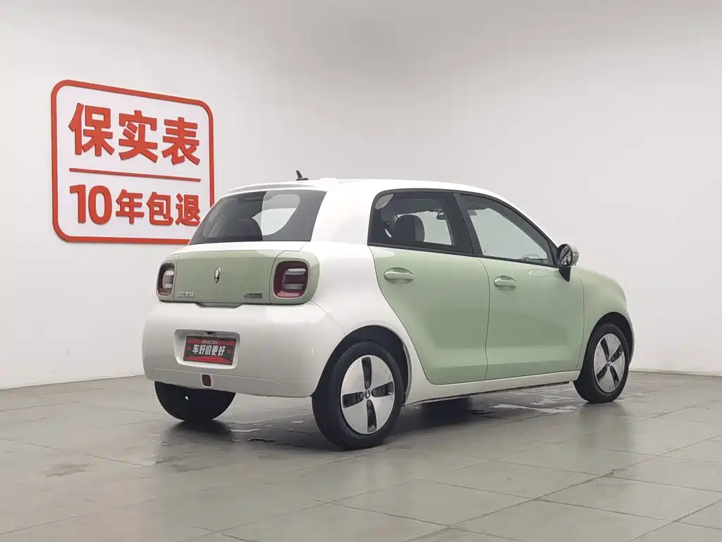Ora Black Cat 2022 2022 Facelift 301km Pet Edition LFP Version