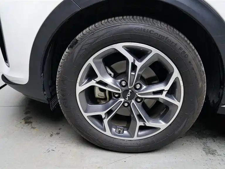 Kia KX5 2019 1.6T Automatic 2WD Luxury Edition фото 28